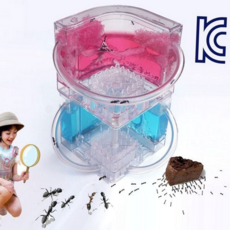 개미 관찰 학습 꾸미기 확장 사육 개미집 만들기 키트 과학실험 과학교실 어린이 실험 생물 활동 공급 투명, 파랑