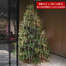 순수 PE 크리스마스 트리 장식 홈 오너먼트 거실 2024 고급 시뮬레이션 레이아웃, 1.5m, 16  Pure PE  2.1 meters