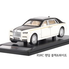 GR 바니 1:32 모터쇼M RSRC 팬덤 블랙&화이트(35242)