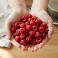 26년도 프리미엄 청도 생 산딸기, 1개, 산딸기 500g