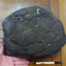 能量礦石 印尼隕石 Agni Manitite 火山玻璃 15.7公斤 俗稱印尼天狼星 烈火石 黑隕石 古黑曜石, 1個