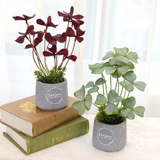 인조나무 인테리어 장식 조화 화분 사랑초 2p set, 혼합색상, 1개