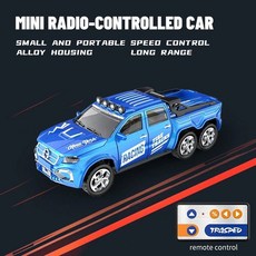 RC 자동차 리모컨 SUV 드리프트 전기 레이싱 버기 차량 장난감 선물 2.4G 5 채널 1 64 합금, A-8801C blue