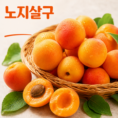 [전국최저가] 국내산 고당도 노지 살구, 1개, 1kg(중소과)