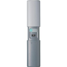 TANITA 타니타 휴대용 구취 측정기 EB-100 회색