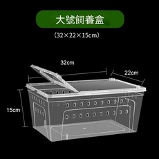 烏龜爬寵飼養盒 爬蟲孵化箱 烏龜冬眠盒, 1個, 大號爬寵飼養盒白色