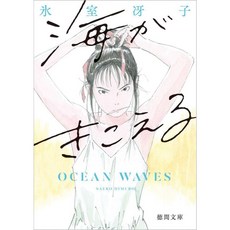 일본 청춘 감성 그래픽 노블 바다가 들린다 신장판
