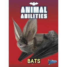 Bats Hardcover, Raintree