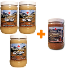 캐나다 석청 빙하 꿀 3통+계피 시나몬 꿀 1통 웨스턴세이지 세트상품+정품증명서 BC#1341350, 1kg, 4개