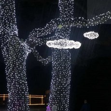 Moondex 크리스마스트리LED LED 백색 지니전구 50구 5M 녹색선