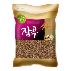현대농산 갈색 렌틸콩 5kg 렌즈콩, 1개
