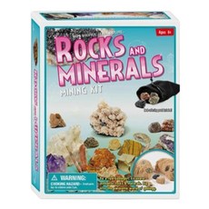 화석스톤 광물 지구과학 발굴 키트 기초과학 활동학습 교육완구, 1개