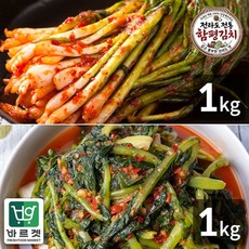 전라도전통함평김치 파김치1kg+열무김치1kg 국내산재료 당일제조 바르겟, 없음