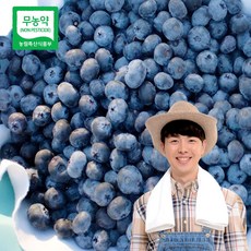 산지드림파머스 국산 친환경 무농약 급냉 블루베리 냉동 국내산 blueberry 불루베리 불루베리 야생, 1개, 1kg, 무선별사이즈