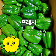 프레치 국내산 아삭 청피망, 보통(못난이흠집및부러짐O 귤만한사이즈), 1개, 3kg