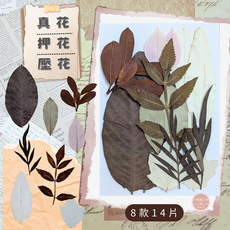 天然綜合押花花材包 - 8款14片乾燥壓花, 自然綜合花材包G