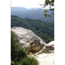 (영문도서)The Lady and the Apothecary Paperback, Independently Published, English, 9781720180579