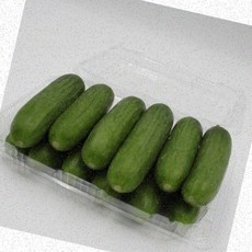 국산미니오이 오이 신선채소 도시락 샐러드 가정용 무공해 농산물 1kg, 1개, 1g