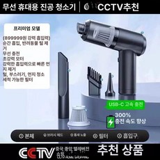 바이픽 진공 다용도 휴대용 무선, 기본 색상, Deluxe 899999R 1개+블로우
