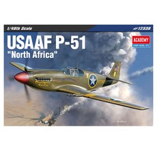 전투기 프라모델 아카데미 1대48 미육군항공대 북아프리카 전선 P-51, 본상품