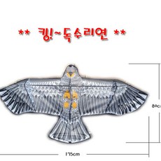 희아랑 킹독수리연 명절놀이 연날리기 방패연 민속놀이 전통놀이 야외놀이