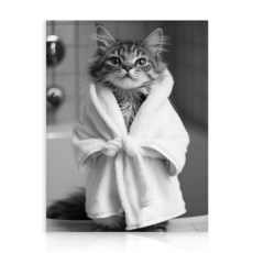 Dazzlewall 재미있는 고양이 욕실 벽 아트 목욕 가운을 입은 귀여운 고양이 흑백 동물 포스터 사진 욕실 화장실용 30.5x40.6cm(12x16인치) 액자 없음, Dazzlewall 재미있는 고양이 욕실 벽 아트, 목