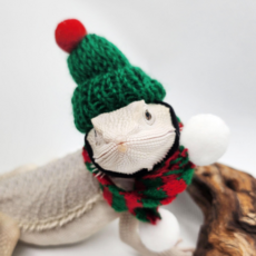 도마뱀 소동물용 크리스마스모자목도리세트 크리스마스모자 크리스마스목도리, 1세트, 모자끈있음(동물용)