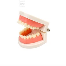 슈퍼리치디자인 치아모형 인공이빨모양