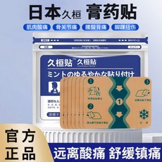 허리 붙이는 파스 냉감 쿨링 냉찜질 근육 민트, 4개, 7개입