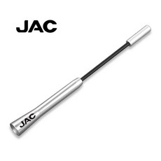 자동차 안테나 지붕 라디오 공중 장식 외부 보드 증기, 1. Silver