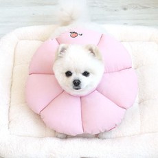 패리스독 꿀잠카라 핑크XL, 1개, 스트레스완화/안정/집중력관리, 1회분