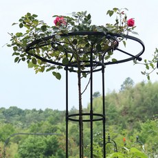 21세기트랜드 우산 플랜트 지지대, 우산 플랜트 지지대 150cm-블랙