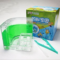 개미키우기 과학교구 사육통 방학숙제 곤충관찰용, B. 그린