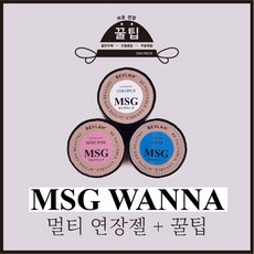 MSG WANNA + 꿀팁, MSG P + 꿀팁, 25ml, 1개