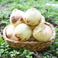 [햇님농장] 달큰한 무안 햇 양파(소) 3kg, 1개
