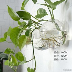 桃園出貨 創意水培玻璃花瓶懸掛式透明插花盆綠蘿壁掛小魚缸現代簡約小花瓶
