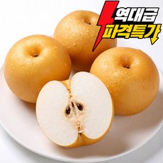 [재구매1위] 초특가 고당도 나주배 신고배, 1개, 5kg