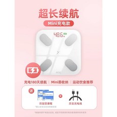 블루투스 인바디 체중계 가정용 체성분 분석기 고정밀 미니 충전형, 전문가 추천 MINI 충전식 모델 정품 충전 케이블 포