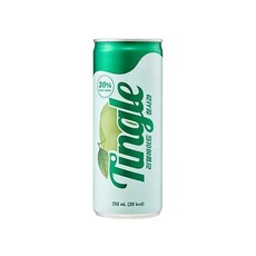 팅글 리얼 에이드 청사과 250ml 30캔, 30개