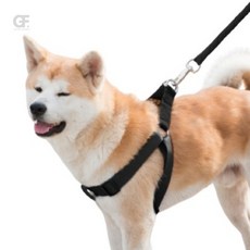 굿포머스 대형견 목줄+하네스+리드줄 세트(XS) 블랙 애견목줄