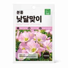 분홍 낮 달맞이 꽃 씨앗 1000립 낮 달맞이 핑크 봄 꽃씨 씨앗 꽃씨몰 노지월동 야생화 가을 겨울 다년생, 1개