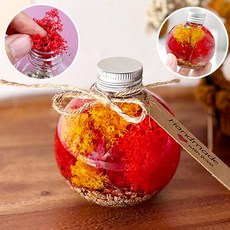스칸디아모스 화분 만들기 DIY 가을단풍 원예 키트 어르신 노인 중학생 수업 재료, 모스 단풍 하바리움 만들기(P0000LEU)