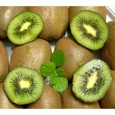 국내산 그린키위 고당도 1개 2kg 외, 3kg