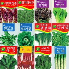 상추/쌈/채소 씨앗 모음, 1_적치마상추 3000립, 1개