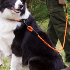 반려동물 야간 빛반사 튼튼한 리드줄 plu+46135pm, 블루