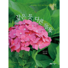 [지성사] [가을책방] 같은 듯 다른 들꽃, 상세 설명 참조, 상세 설명 참조, 상세 설명 참조