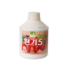 차그림 프리미엄 딸기5 850ml 과채음료 농축액, 6개