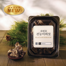 자연산 건조 능이버섯 35g 백숙재료 삼계탕재료 건강식 향버섯 건능이버섯 (티벳산), 1개
