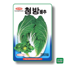 청방배추 씨앗 1000립 경신종묘 종자 모종 작물 텃밭 채소씨앗 재래종, 1개