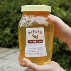 윤플러스 민통선 민두 자연 벌꿀 아카시아꿀, 1개, 2.4kg